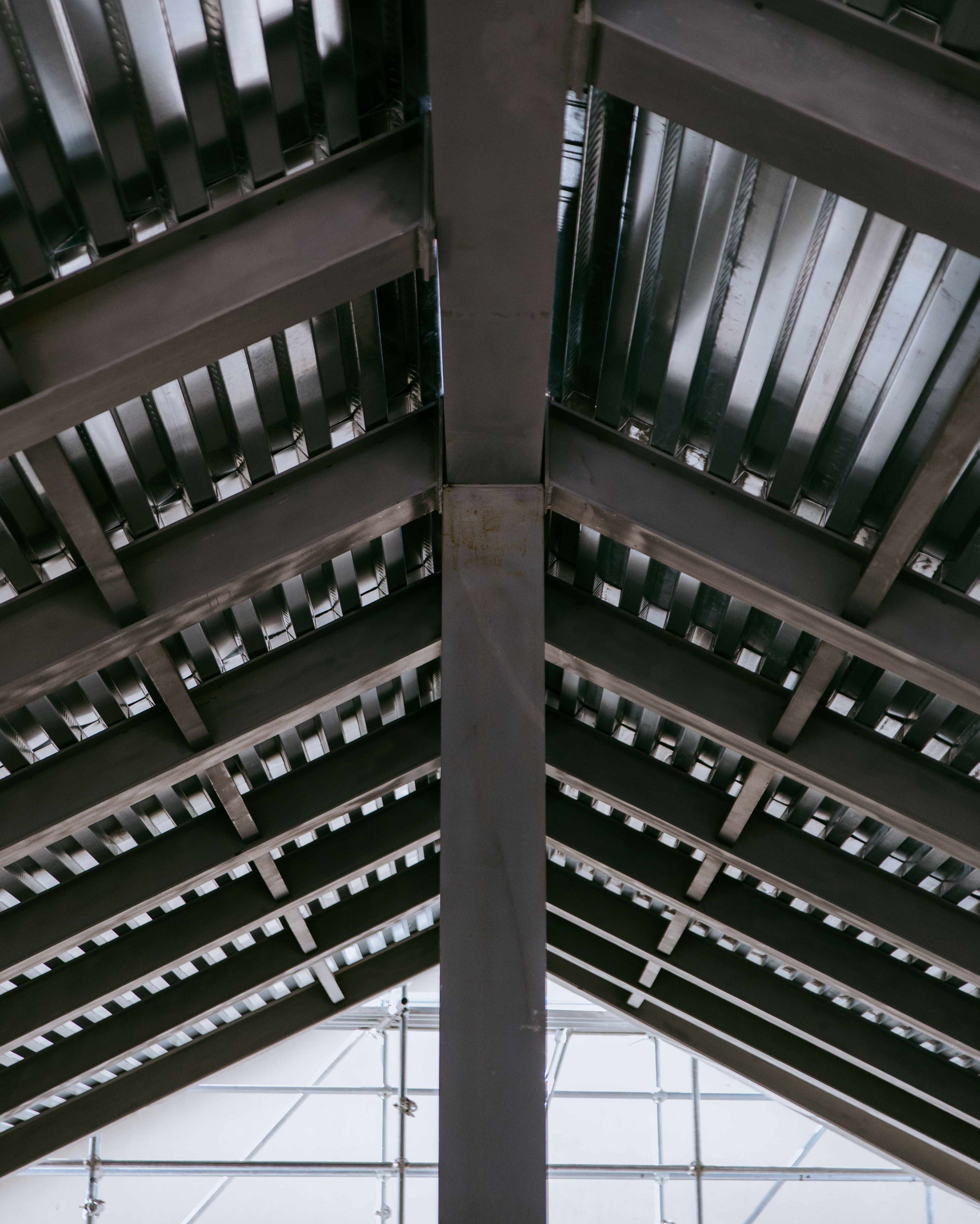 Via Pisa 18 - immagine 3